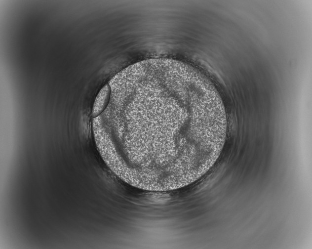 X0000095960719200802081317