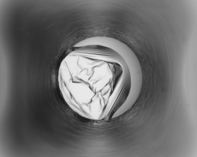 X0000095960720200802081317
