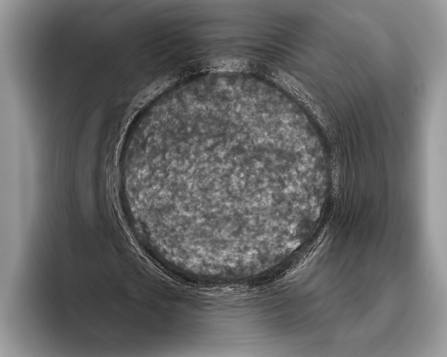X0000095960721200802081317