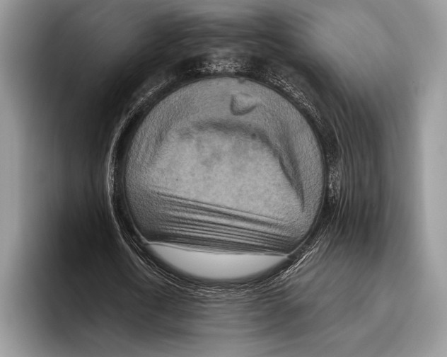 X0000095960722200802081317