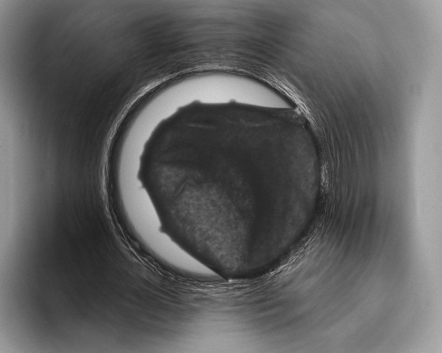 X0000095960724200802081317