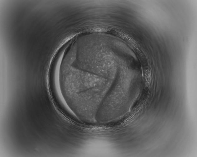 X0000095960726200802081317