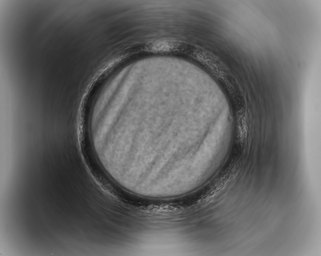 X0000095960728200802081317