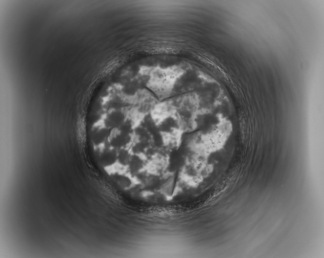 X0000095960729200802081317