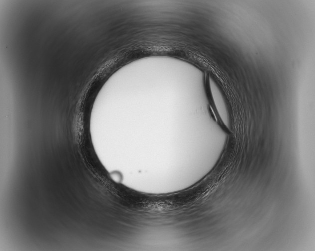 X0000095960731200802081317