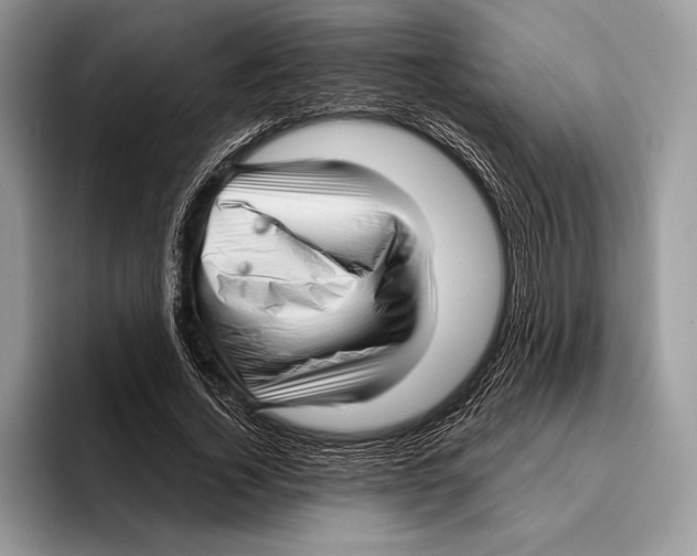 X0000095960732200802081317