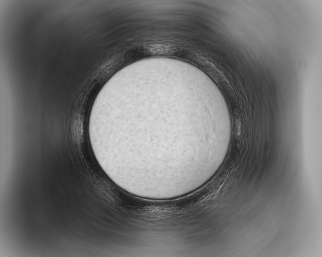 X0000095960733200802081317