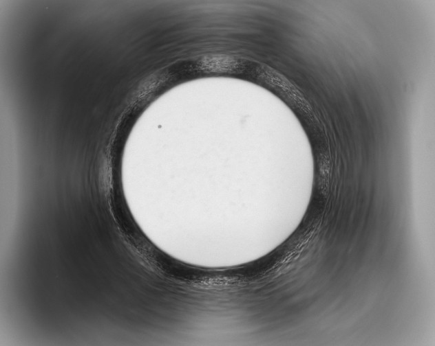 X0000095960734200802081317