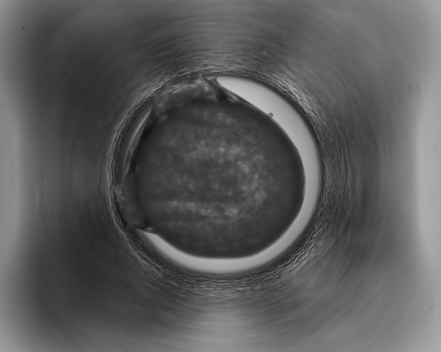 X0000095960736200802081317