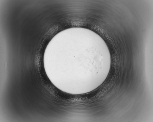 X0000095960738200802081317