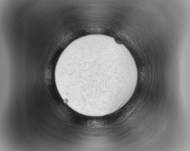 X0000095960739200802081317