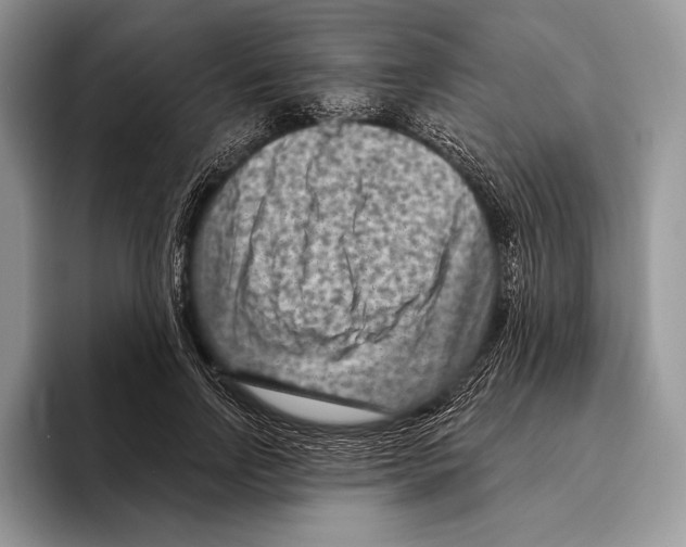 X0000095960742200802081317