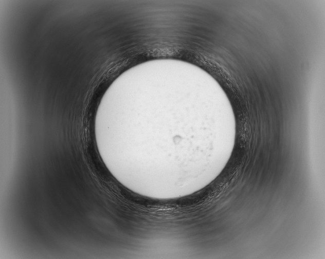 X0000095960743200802081317