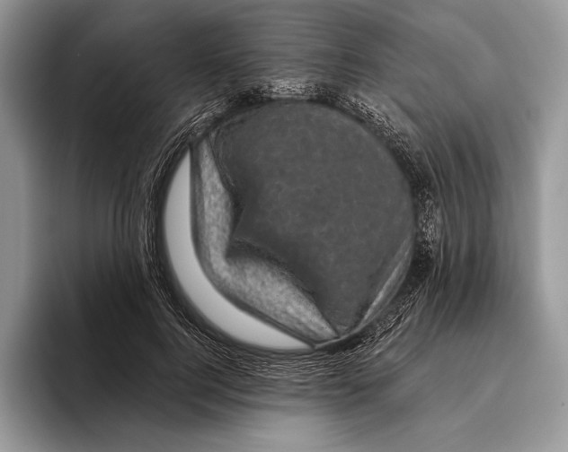X0000095960744200802081317