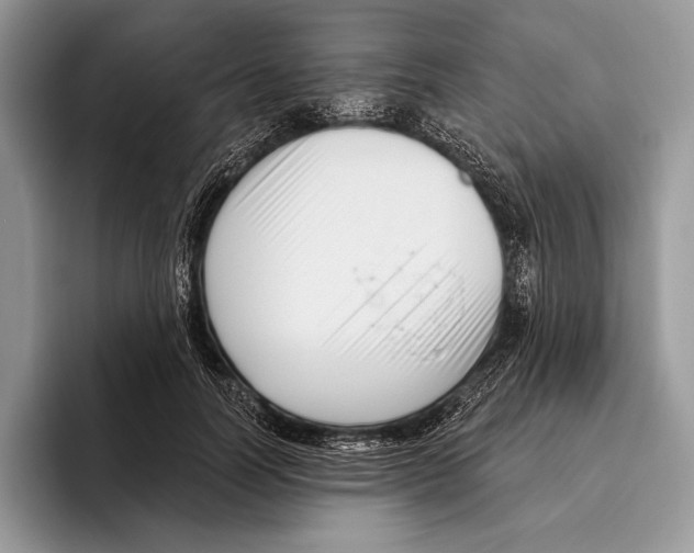 X0000095960746200802081317