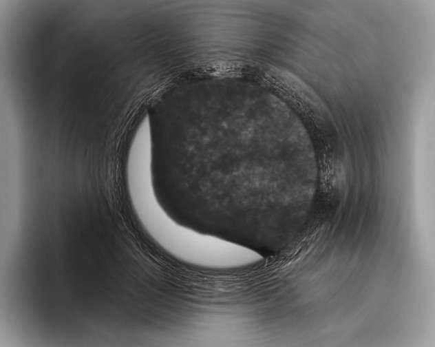 X0000095960748200802081317