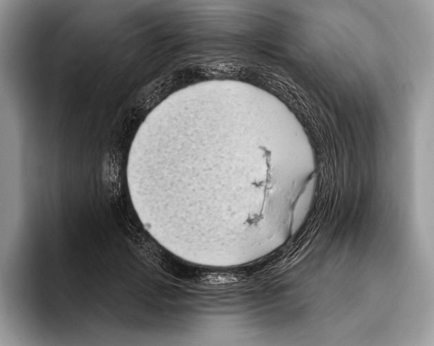 X0000095960749200802081317