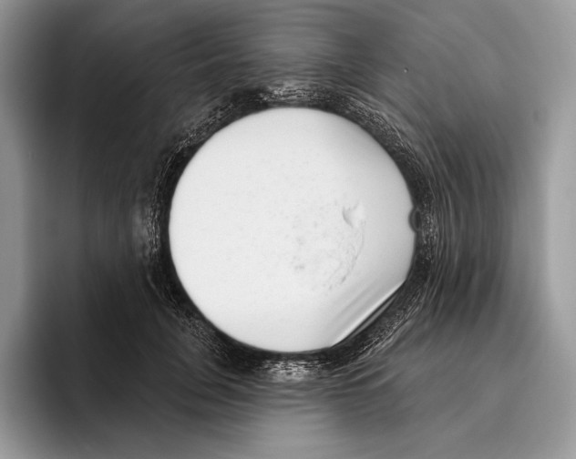 X0000095960751200802081317
