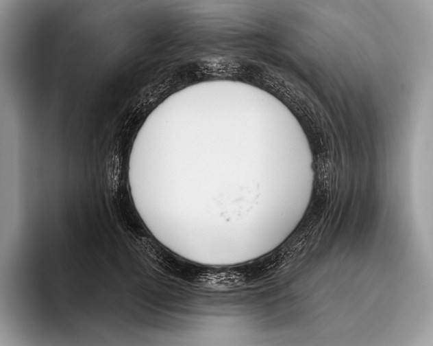 X0000095960752200802081317