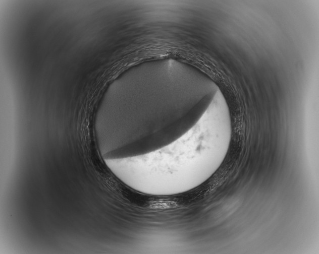 X0000095960754200802081317