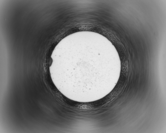 X0000095960755200802081317