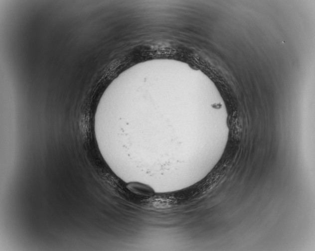 X0000095960756200802081317