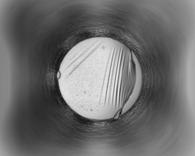X0000095960757200802081317