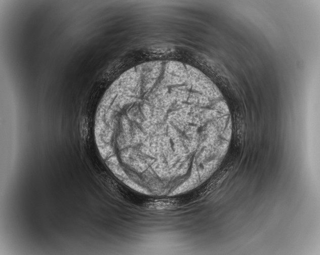 X0000095960758200802081317