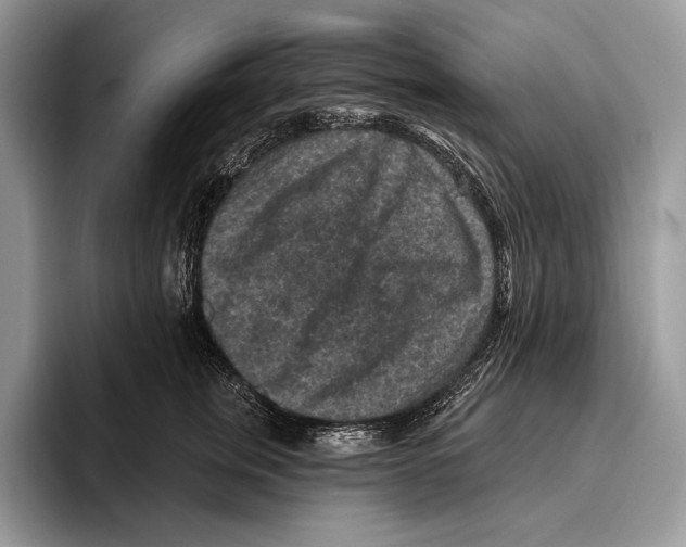 X0000095960759200802081317