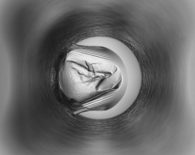 X0000095960760200802081317