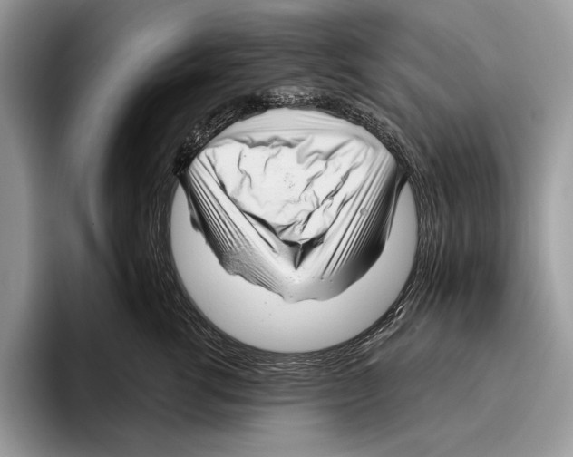 X0000095960762200802081317
