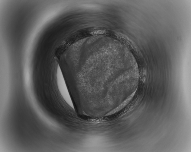 X0000095960763200802081317
