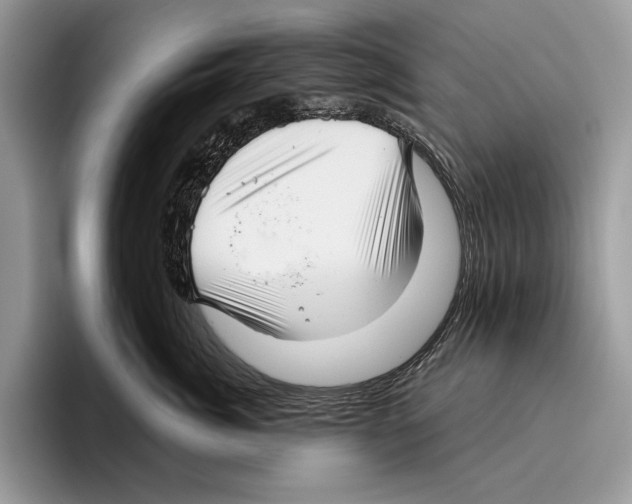 X0000095960764200802081317