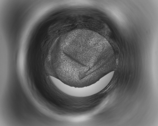X0000095960765200802081317