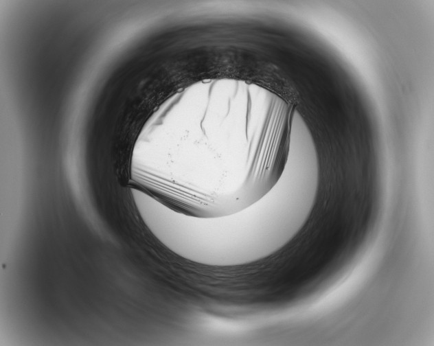 X0000095960766200802081317