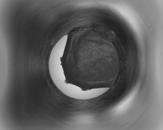 X0000095960767200802081317