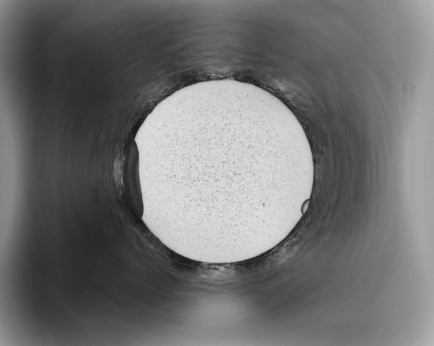 X0000095960768200802081317