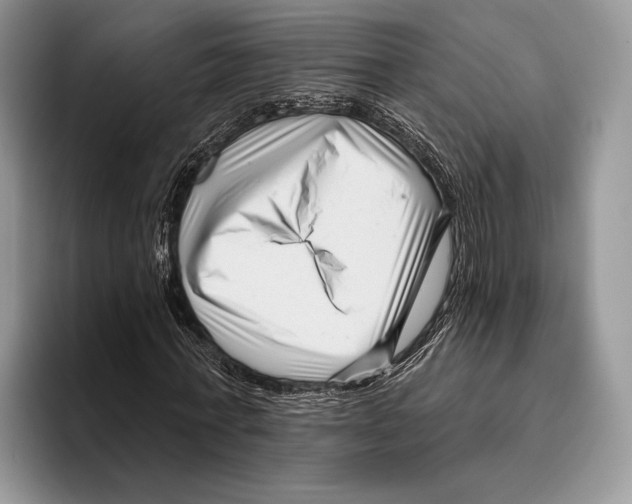 X0000095960771200802081317