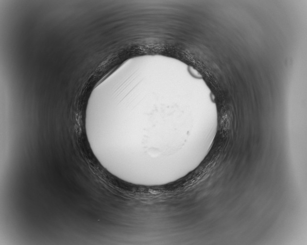 X0000095960772200802081317