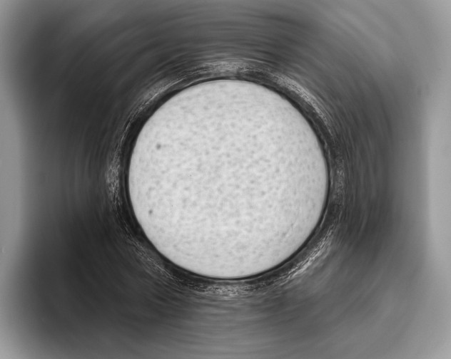 X0000095960778200802081316