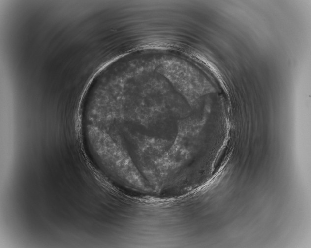 X0000095960779200802081316