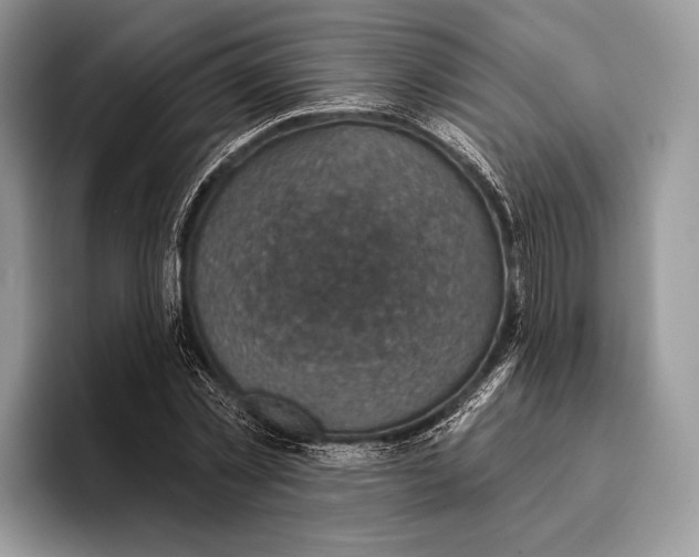 X0000095960781200802081316