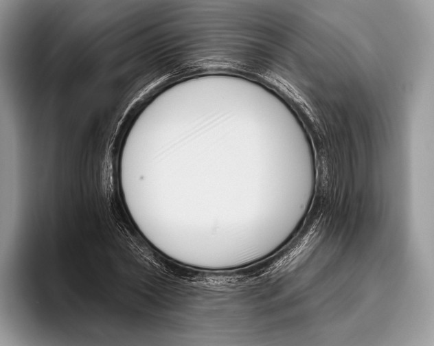 X0000095960782200802081316