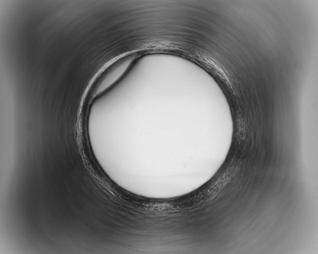 X0000095960784200802081316