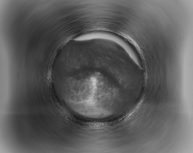 X0000095960785200802081316