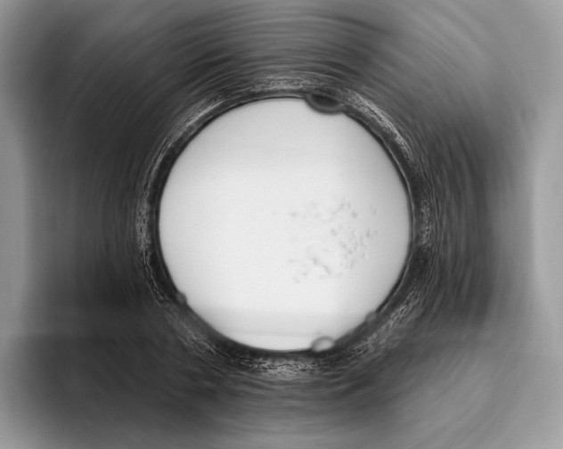 X0000095960786200802081316