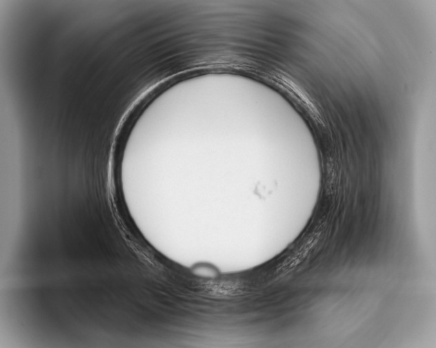 X0000095960788200802081316