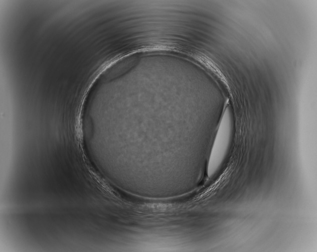X0000095960789200802081316