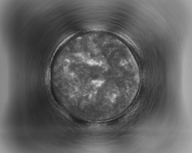 X0000095960790200802081316
