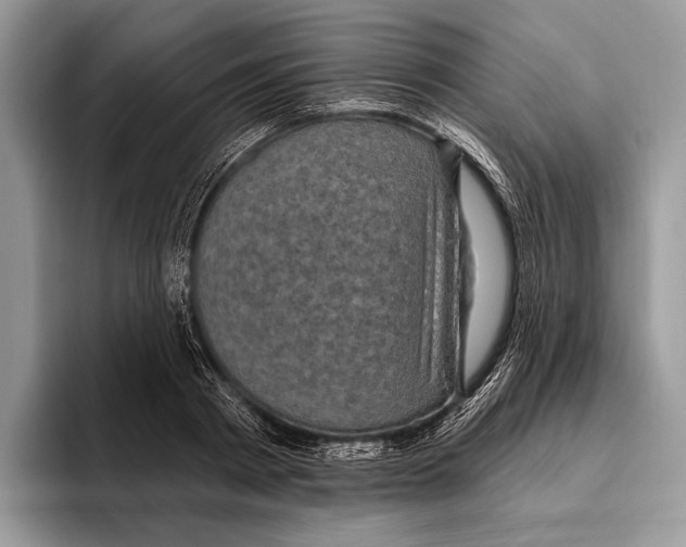 X0000095960793200802081316